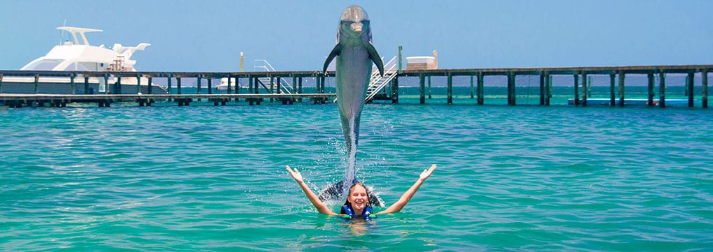 The Best Punta Cana Excursions for Families
1. Dolphin Explorer: A Magical Encounter with Marine Life