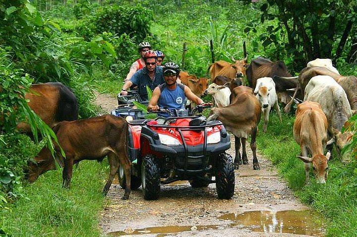 The Best Punta Cana Excursions for Families
Half-Day Adventure: 4x4 ATV, Water Cave and Dominican Culture At Punta Cana